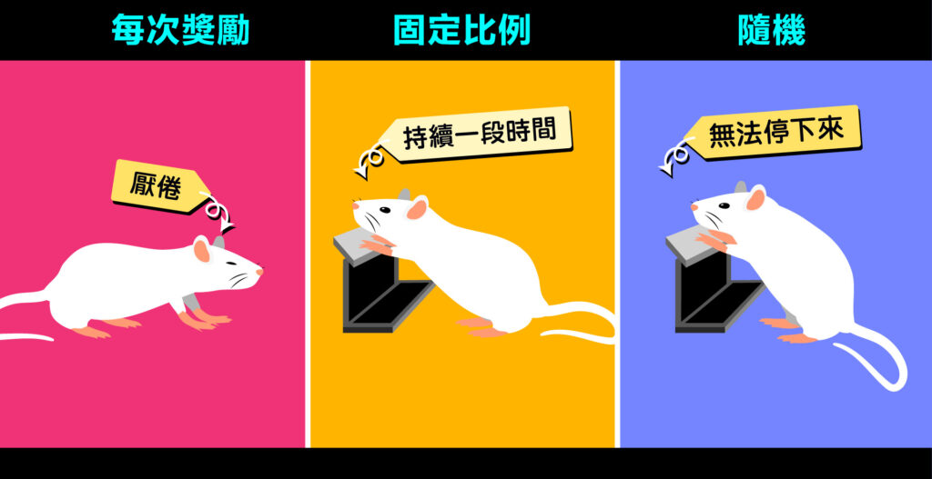 新行為主義,舊行為主義,古典制約,操作制約,史金納