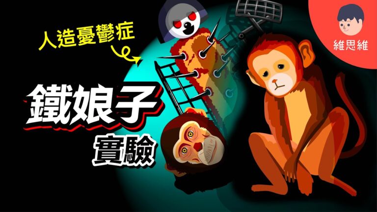 人造憂鬱症,鐵娘子,絕望之井,哈洛實驗