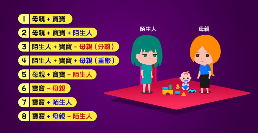 瑪麗·愛因斯沃斯(Mary Ainsworth)的「陌生情境測驗」(strange situation test)
依附理論
