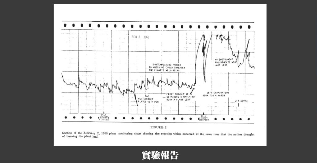 巴克斯特
實驗
植物
有感情